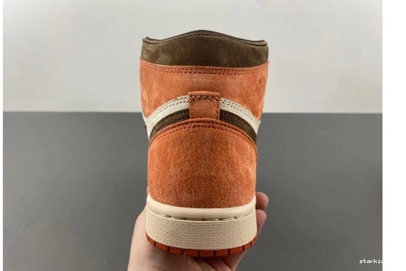 OG Jordan Dusted 1 SP  FQ2941-200 High FQ2941-200  Clay Retro 0117